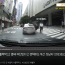 횡단보도 보행자한테 크락션 울렸다가 시비붙은 차주 . gif 이미지