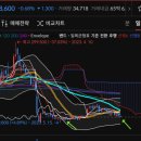 한일인삼 이미지