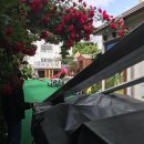 대저유치원 이미지