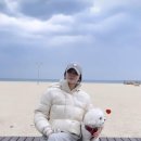 루비애견 이미지