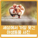 와일드 동물병원 이미지