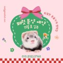 특별한 동물가게 이미지