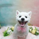 착한두부 이미지