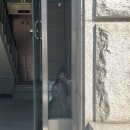 아로이커피갈현