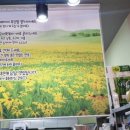 유성즉석떡볶이 이미지