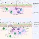 Re: IgA nephropathy의 식이요법과 치료전략 2025 이미지