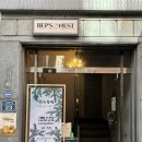 네스트(NEST) | 맛있는 초록초록 식물과 책이 가득한 분좋카 상일동 카페 뱁스네스트 Bep's Nest 주차 정보 포함 후기