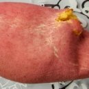 송호파크 이미지