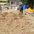 서울지향초등학교 이미지