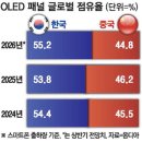 패널