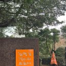 김영갑갤러리 (두모악) | #6 / 제주 3일차 성산 근처 비오는날 볼거리 <김영갑 갤러리 두모악> 100% 내돈내산 후기 - 주차, 꿀팁