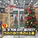 GS25 전구암점 | 이 가격에 이런 퀄리티 실화야? 트레이더스 크리스마스 트리&amp;소품