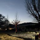 충주 캠핑장 당일예약 가능한 학교개조 캠핑장 비내캠프 후기