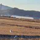 회원농장 이미지