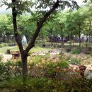 마더스 가든 이미지