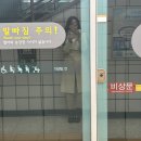 피자듀엣 | 낭만이지만 그후로는 재난이야. 물랑루즈 op2열 극싸 오블 후기(차윤해, 김지우 페어 굉장히 솔직후기)