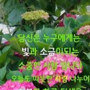 행복한 하루 이미지