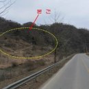 부촌리 Daum카페