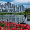 청솔미사