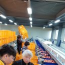 수륜농협 APC 이미지