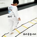 동아대 성공태권도 이미지