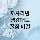 (주)필폴리머 | 까사리빙 냉감패드: 여름밤 꿀잠 비밀 총정리 (후기, 구매)