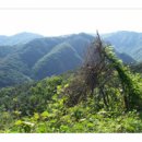 충주호반 이미지