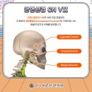 미사바른선한의원 이미지