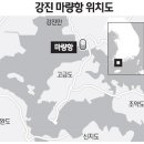 강진종합정비 이미지