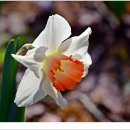 자연생태공원 부천식물원 이미지