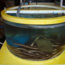 여다지회마을 이미지