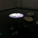 동양기획 - 서구 벌곡로 1383-1 | 동양기획