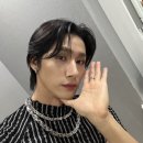 고양이나라 이미지