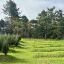 청솔목장 이미지