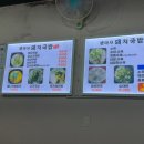 팽여사돼지국밥 이미지