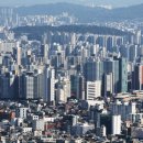 부동산 시장 '탈동조화'…살아나는 서울·아파트, 침체된 지방·비아파트 이미지