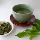 엽차엽차 이미지