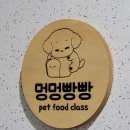 멍멍빵빵 이미지