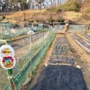 재근농장 이미지