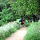 성내마을회관 이미지