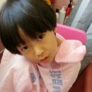 살롱 드 따따 이미지