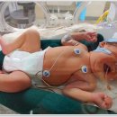 축복목장 이미지