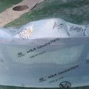 사하모비스 이미지