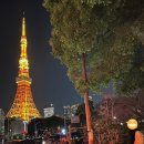 신호대기 횡단보도 | 도쿄타워 야경 후기 | 아카바네바시역 A1 출구 포토스팟·롯폰기 케야키자카 일루미네이션