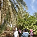 나무네농장 이미지