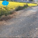 조은땅공인중개사사무소 이미지