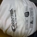 카렌시아 이미지