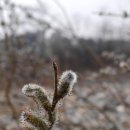 장일공업사 이미지