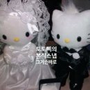 W6. 본식스냅 추천 _ 로프트가든 본식스냅 추천 / 에스뜨레아 계약후기/ 짝꿍할인 짝꿍하실분~