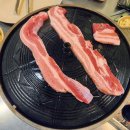 고굽마 네이버블로그